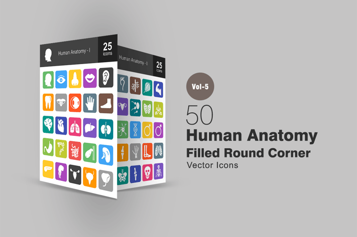 50 Human Anatomy Flat Round Corner Icons