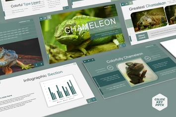 Chameleon - Presentation Template