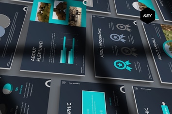 Elephant - Keynote Template