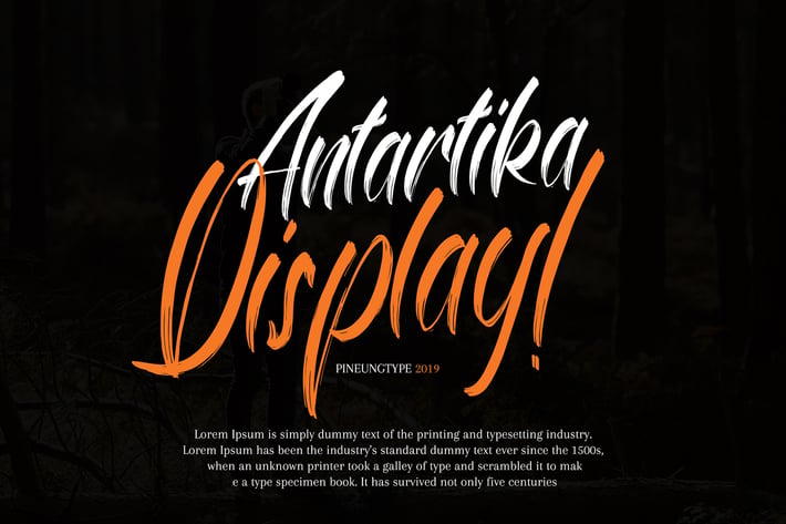 Antartika Display