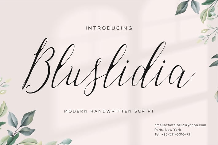 Bluslidia Script