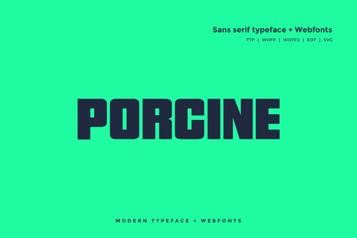 Porcine - Modern typeface + WebFont
