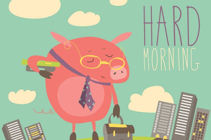 Funny sleepy pig going to work