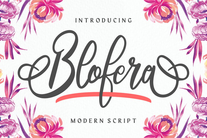 Blofera | Modern Script Font