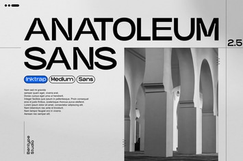 Anatoleum Sans - Inktrap Medium Sans