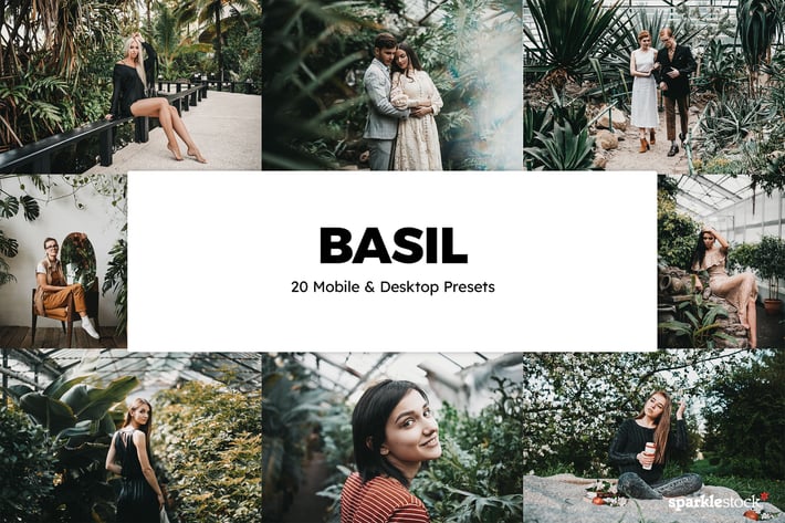 20 Basil Lightroom Presets & LUTs