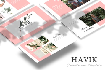 Havik - Powerpoint Template