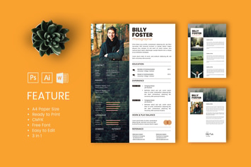 Professional CV And Resume Template Billy