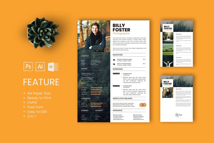 Professional CV And Resume Template Billy