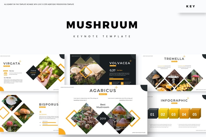 Mushruum - Keynote Template