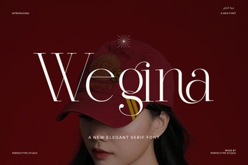 Wegina Minimal Serif Font