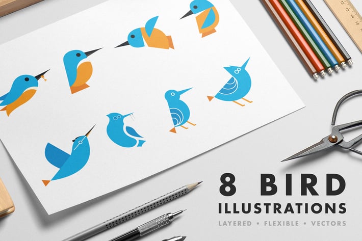 8 Bird illustrations
