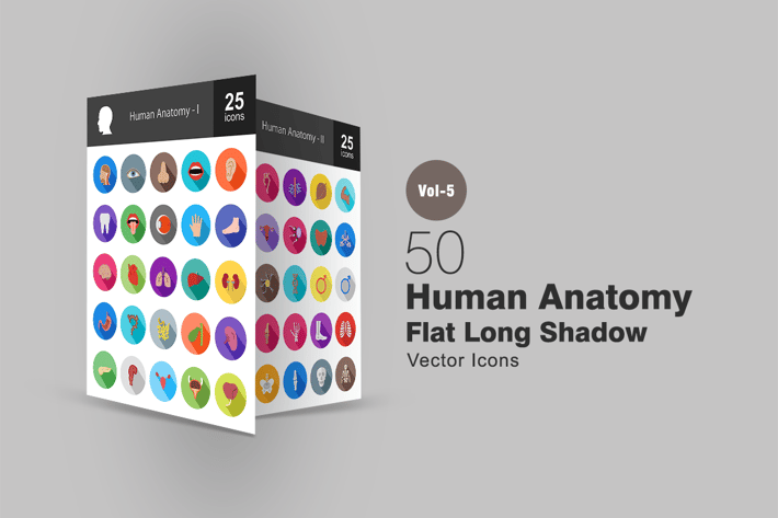 50 Human Anatomy Flat Shadowed Icons