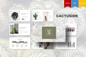 Cactusion | Powerpoint, Keynote, Google Slides