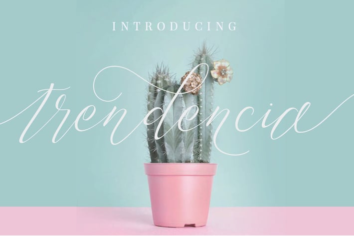 Trendencia Script Elegant Luxury Font