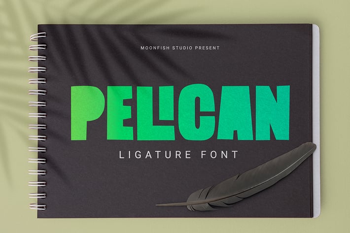 Pelican