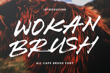 Wokan Brush Font