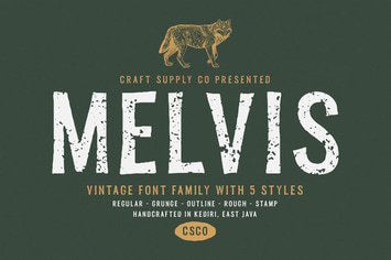Melvis - Vintage Font Family
