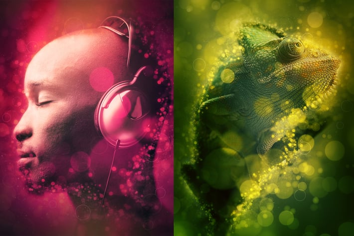 Circles Photoshop Action