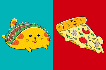 Cats Fast Food (Pizza & Taco)