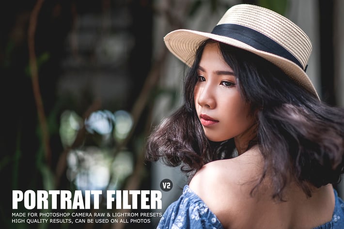 Pro Portrait Lightroom Presets Ver. 2