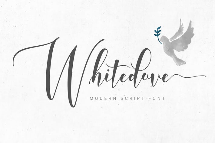 Whitedove Modern Script