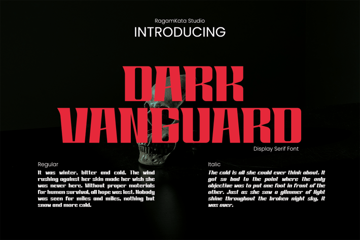 Dark Vanguard - Modern Tittle Display Font