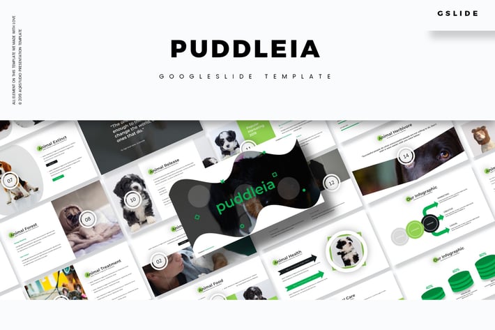 Puddleia - Google Slides Template