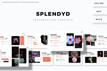 Splendyd - Presentation Template