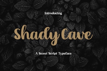 Shady Cave - Script Font