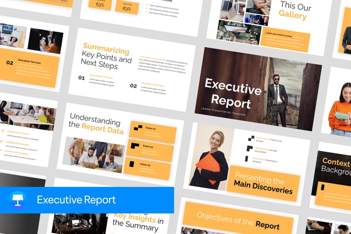 Executive Report 
