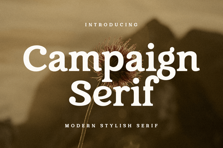 Campaign Serif - Modern Stylish Font