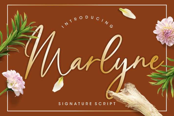 Marlyne Signature Business Font