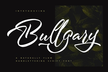 Bullgary | Naturally Handlettering Script Font