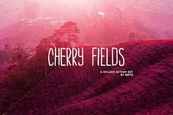 Cherry Fields Action