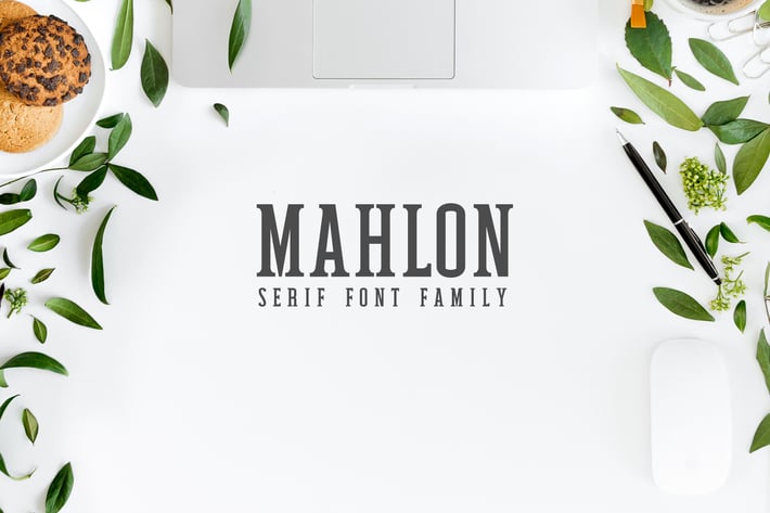 Mahlon Serif Font Family Pack