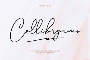 Collibryums Signature Font Extra Swash