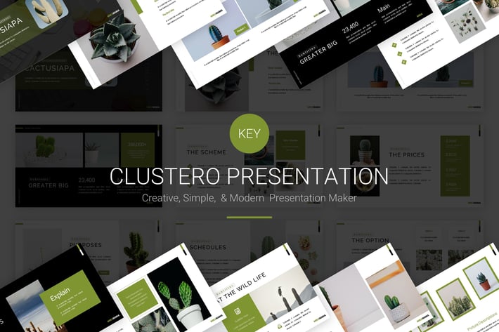 Cactusiapa - Keynote Template