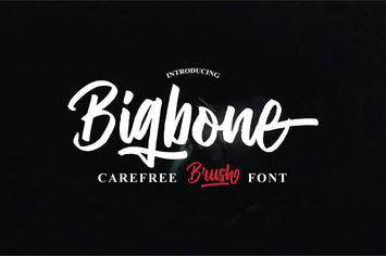 Bigbone Font