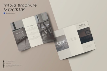 Trifold Mockup