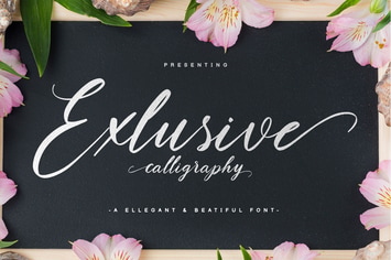 Exclusive Script Font