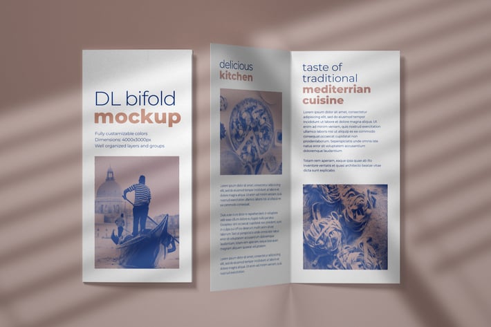 DL Bifold Brochure Mockup