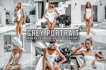 Grey Portrait Lightroom Presets 
