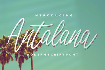 Antalana | Modern Script Font
