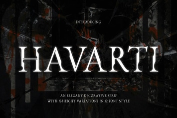 Havarti - Elegant Decorative Modern Serif