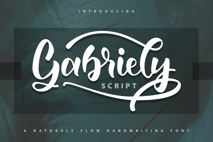 Gabrelly | Handwriting Script Font