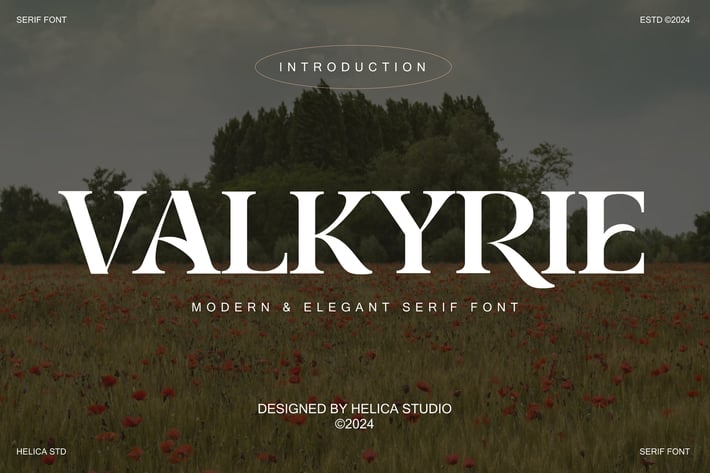 Valkyrie Elegant Serif Font