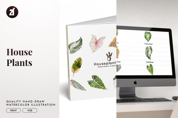 Houseplants hand-drawn illustration