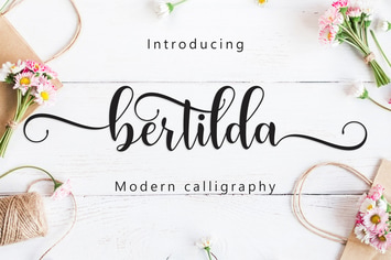 Bertilda Script