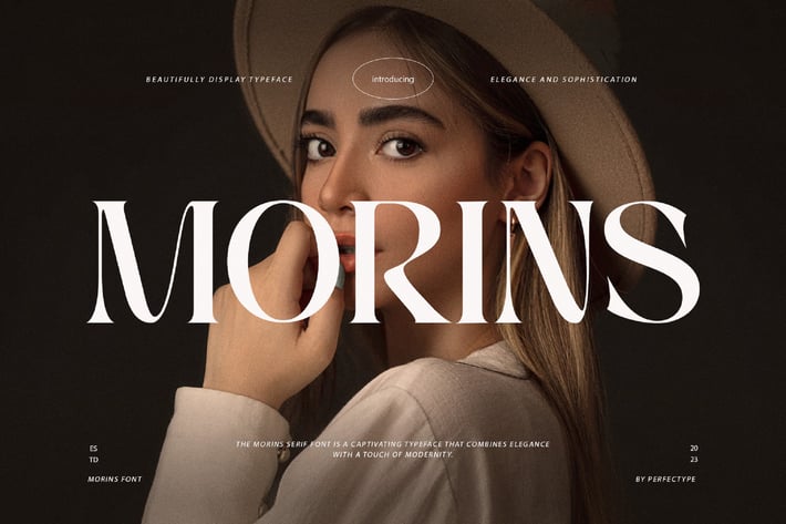 Morins Elegant Serif Font Typeface